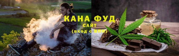 метадон Гусев