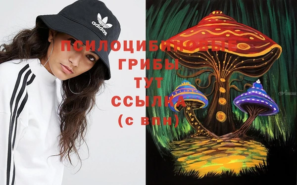 метадон Гусев