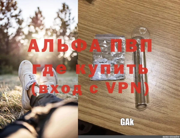 крисы Гусиноозёрск