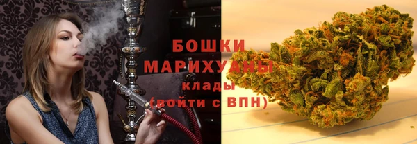 метадон Гусев