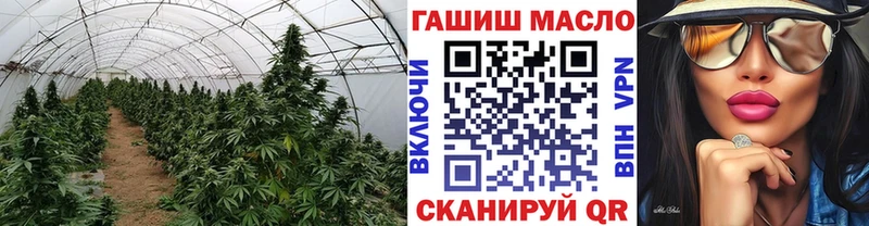 Купить  Яблоновский  ТГК THC oil 