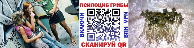 Псилоцибиновые грибы мухоморы  Купить  Яблоновский 